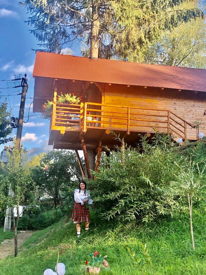 Domeniul Horj Casa Din Deal Moisei Villa Екстериор снимка